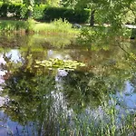 Haus Am Teich - Teichblick